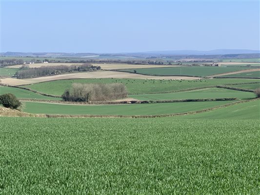 view